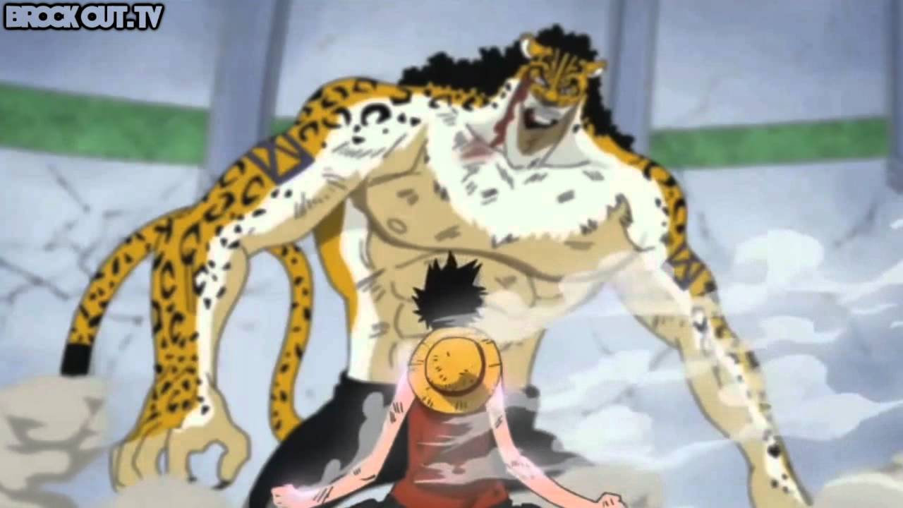 For The One Piece Fans YouTube