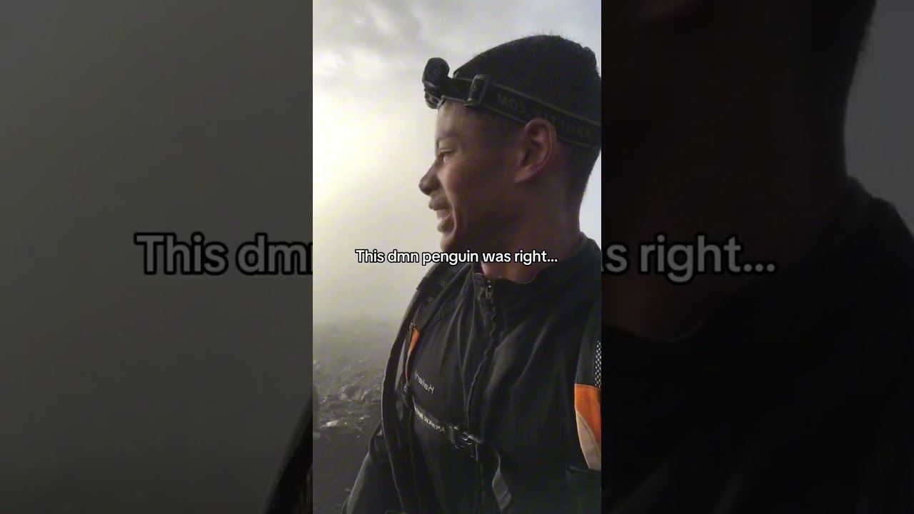 Пингвин был прав… 🐧 