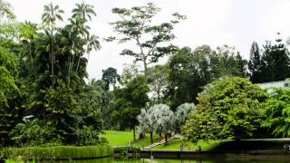 Botanic Garden I Botanic Garden Review