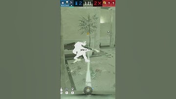 Champion Maestro denies the plant with a nasty shock 😂