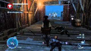 Amazing - Assassins Creed Liberation Hd