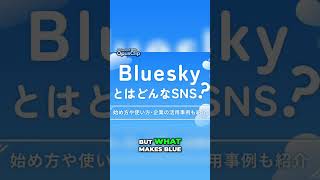 Blue Sky vs. Twitter: The New Social Media Battle #canadatoday #canada #bluesky