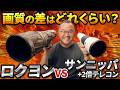 【徹底比較】ロクヨン vs サンニッパ+2倍テレコン|600mm同士の画質差は?【野鳥撮影】
