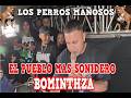 Impresionante (Sonido Cremas) en el Pueblo Mas Sonidero Bominthza Hidalgo Los Perros Mañosos