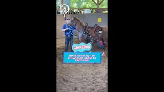 Witness The Transformation: Unhandled Horse to First Ride! | The Horse Guru-Michael Gascon