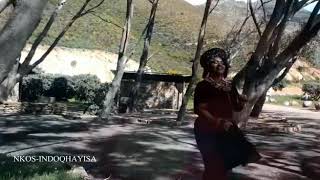Nkosi ndoqhayisa ngawe