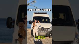 관성솔밭 바다 캠핑 미쳤다🔥 감성 끝판왕 캠핑카 여행!🚐 #감성캠핑 #힐링캠핑 #캠핑 #차박 #노지캠핑 #무료캠핑 #캠핑카 #여행