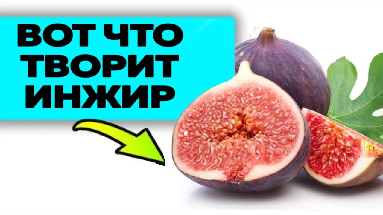 Что один ИНЖИР может сделать с организмом