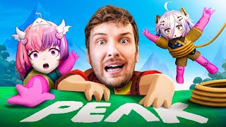 These VTubers Were Supposed to Help Me...