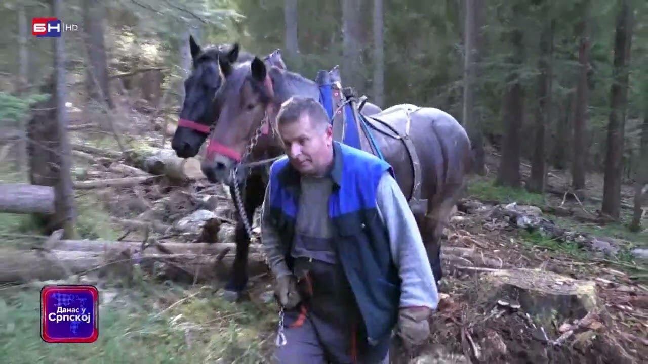 FURMANI SA ROMANIJE: Hljeb sa sedam kora - posao koji mora da se voli