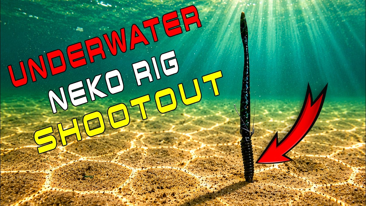 Underwater Neko Rig! ( 9 Most Popular Worms Compared – Underwater Action Test )