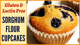 The best Soft & Delicious Sorghum Flour (جوار آٹا) Blueberry Cupcake/ Muffins,  Gluten & Lectin-Free screenshot 2