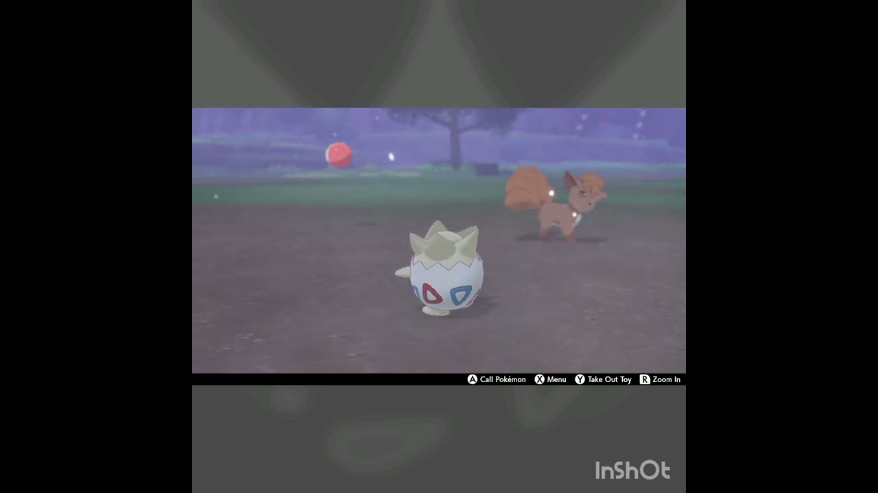 Snips the Togepi being wholesome in Pokemon Shield