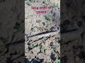 लाल#farming #dragonfruit #farmingloss #सरसों की खेती