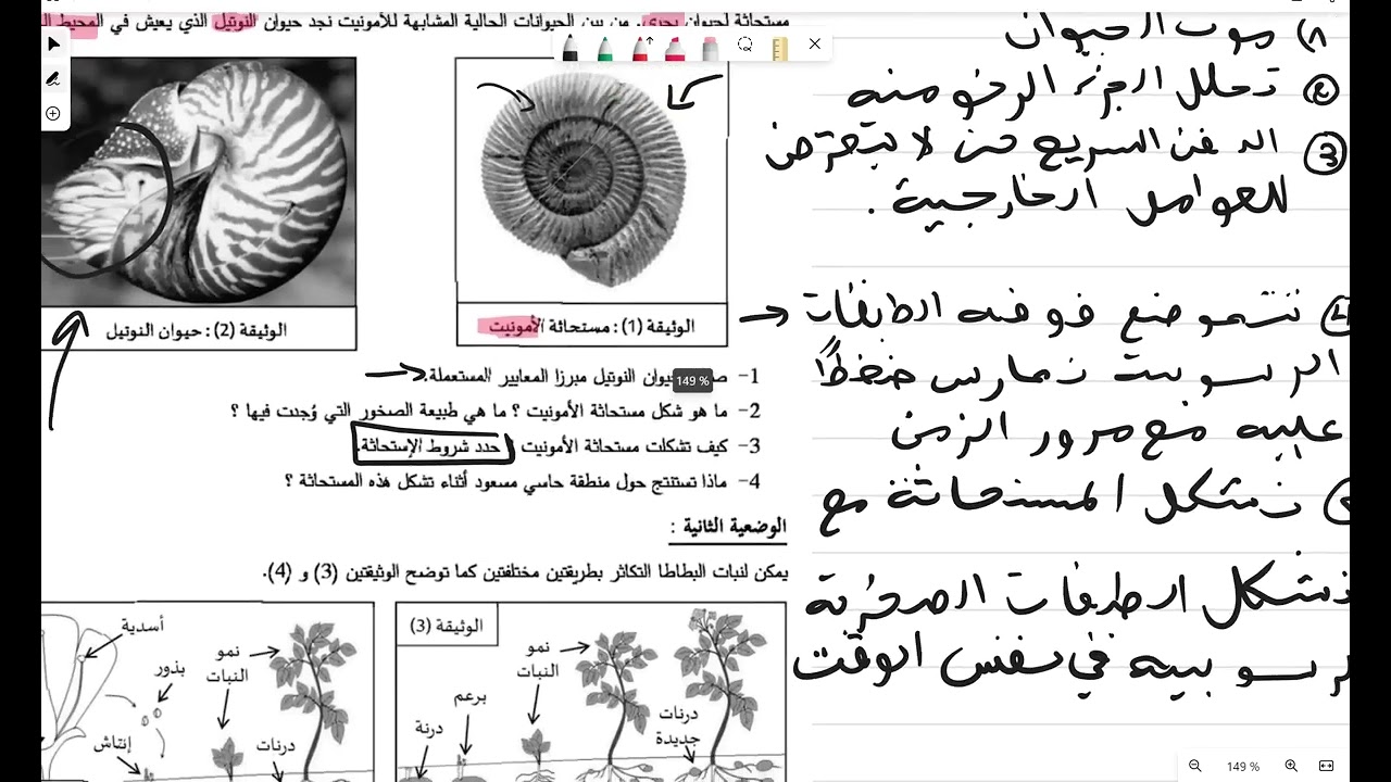 نموذج رائع في علوم الطبيعة و الحياة الفصل الثالث الثانية متوسط