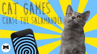 CAT GAMES  Entertaining Videos for Cats  CHASE THE SALAMANDER!