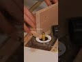 フラッシュトリムビット 木工トリマー/ Flush trim router bit.　#woodworking #tools