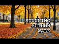 Enchanting Autumn Stroll Through Charlotte's Most Serene Neighborhood!