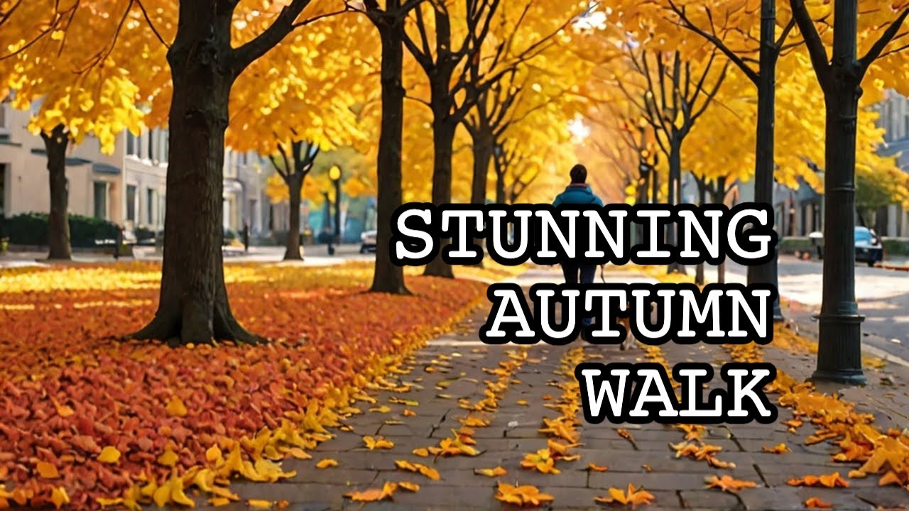 Enchanting Autumn Stroll Through Charlotte's Most Serene Neighborhood!