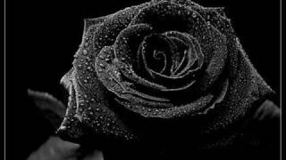 Vignette de la vidéo "The Unseen - Every rose has its thorn"