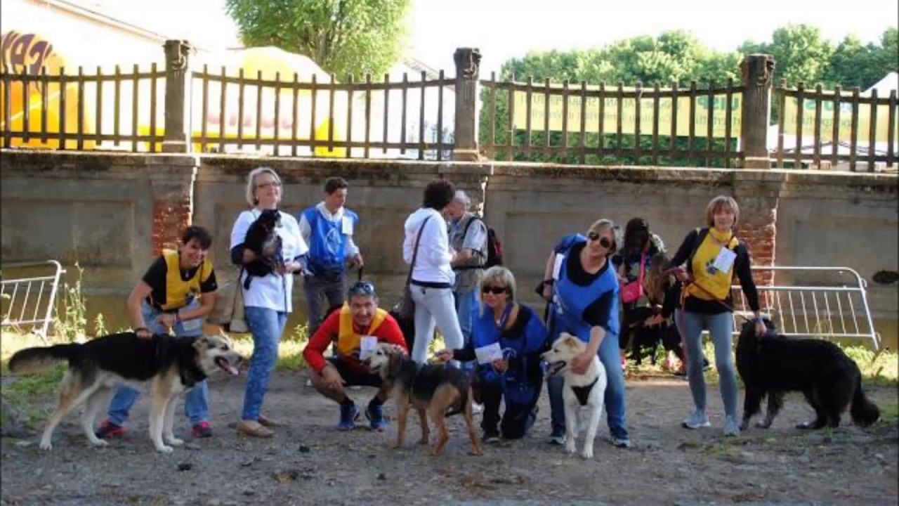 5 X 1000 Associazioni Cani