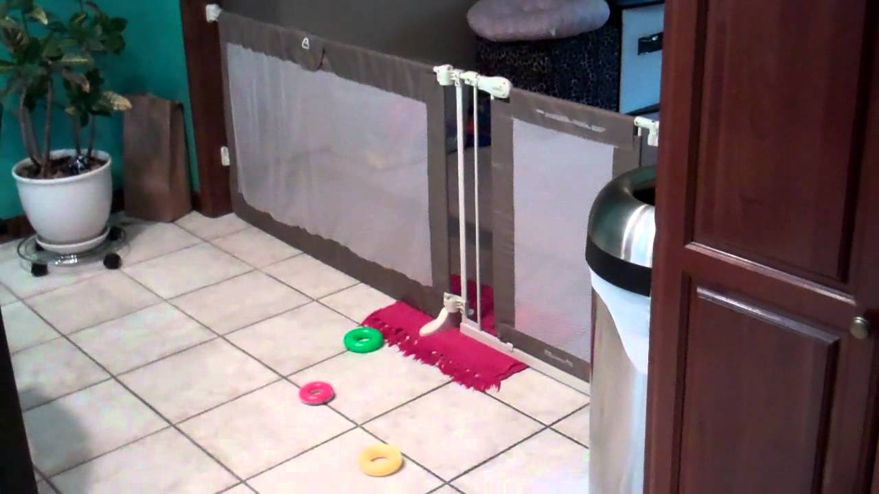 what fits through the gate?