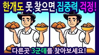 【 틀린 그림 찾기 / 치매 예방 퀴즈 】건강한 뇌를 위해 기억력을 연습하세요! 【다른 그림 찾기 / 숨은 그림 찾기 】find the 3 Difference #385