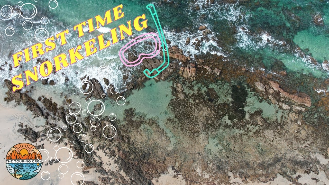Snorkeling at Cape Hardy and Squid fishing at Port Lincoln! YouTube