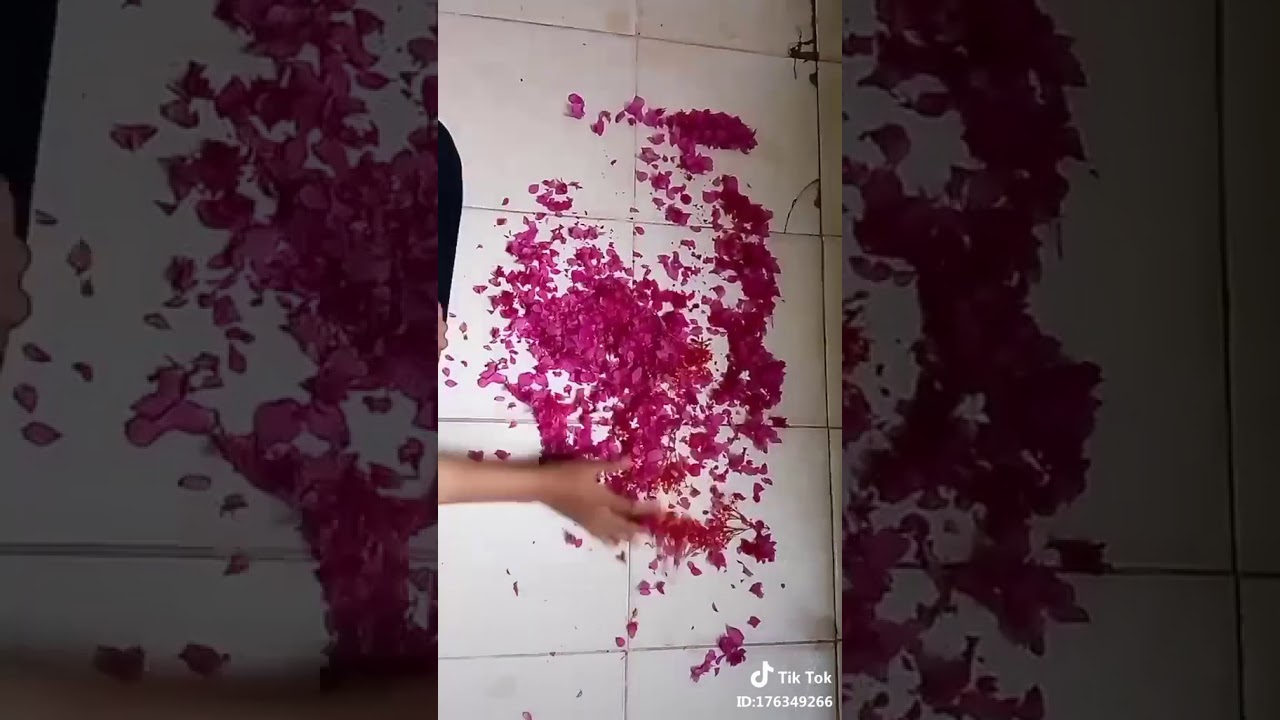Vidio dari lagu Di gelap malam aku mulai tenggelam dari Tik tok - YouTube
