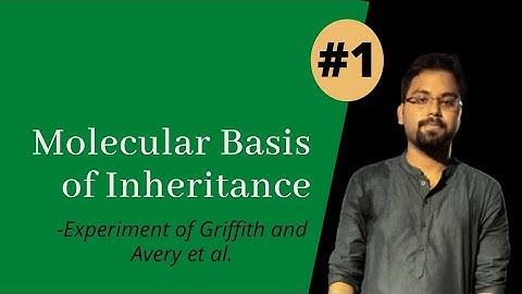 Experiment of Griffith & Avery | Molecular Basis of Inheritance class 12