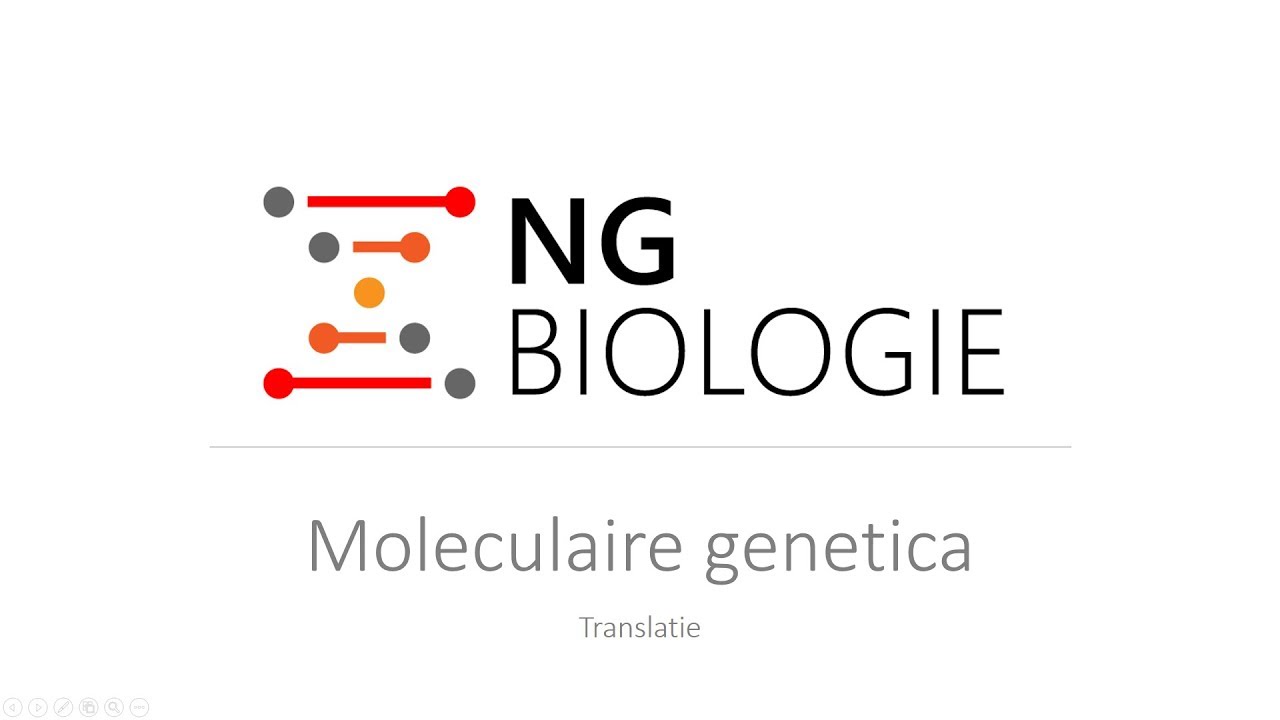 vwo  New  Moleculaire genetica - translatie - HAVO/VWO