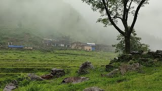 O My god's Non Except Rain In Jiree Village Nepal||Village Of Nepal||@RURALLIFENEPAL