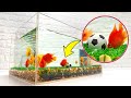 Football For Fish! DIY Aquarium image