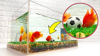 Football For Fish! DIY Aquarium image