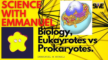 PROKARYOTES AND EUKARYOTES | GCSE, IGCSE AND KCSE BIOLOGY | AQA, EDEXCEL CIE, OCR, WJEC