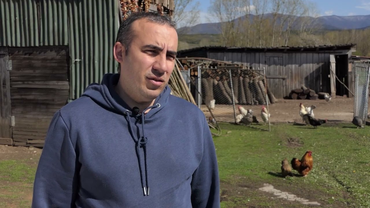 Domaćine kako radiš 16.04.2025. Koke nosilje, Šavrane, Petrijevo