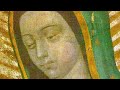 The Amazing and Miraculous Image of Our Lady of Guadalupe (2nd edition)