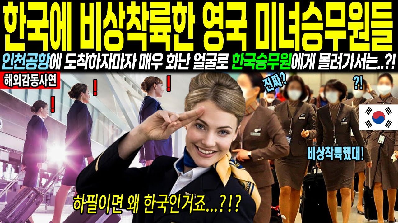 "여기가 한국? 어이가 없네..??" 인천공항에 비상착륙한 영국 승무원들, 한국에 도착하자마자 예상을 뒤엎는데..!