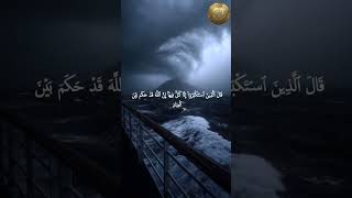 فوقاه الله سيئات ما مكروا - سورة غافر | القارئ عمار ياسر المنصوري | Ammar El Mansory