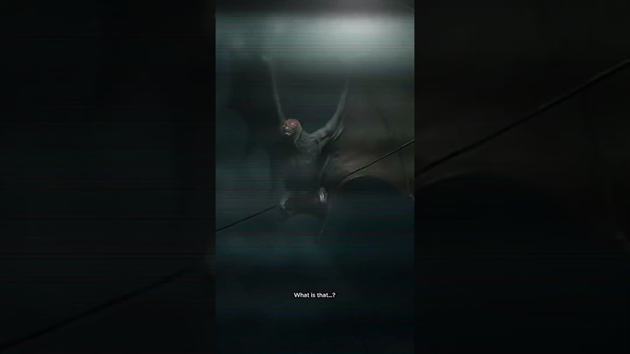 Mothman Caught on Camera? Real Footage from the Forest