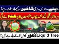 No Leaves, No Roots, No Branches - What Is This “Liquid Tree”? | Punjab Govt to Install Liquid Trees
