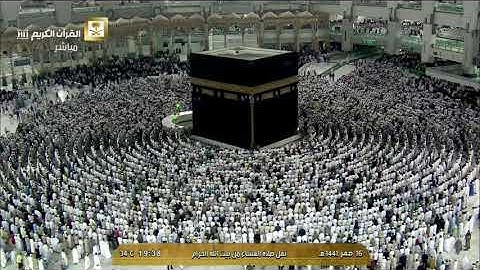 تلاوة هادئة بالكرد الآسر لأواخر سورة الرحمن | للشيخ ياسر الدوسري | عشاء الثلاثاء 16 صفر 1441هـ