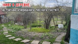 Расчистка участка продолжается)) Думаю, когда-нибудь здесь будет красиво 🙄😅 
