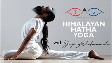 Yoga for Beginner - Himalayan Hatha Yoga