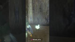 Soy un poyo webon #zeldatp #dusk | #shado_terro de #Twitch