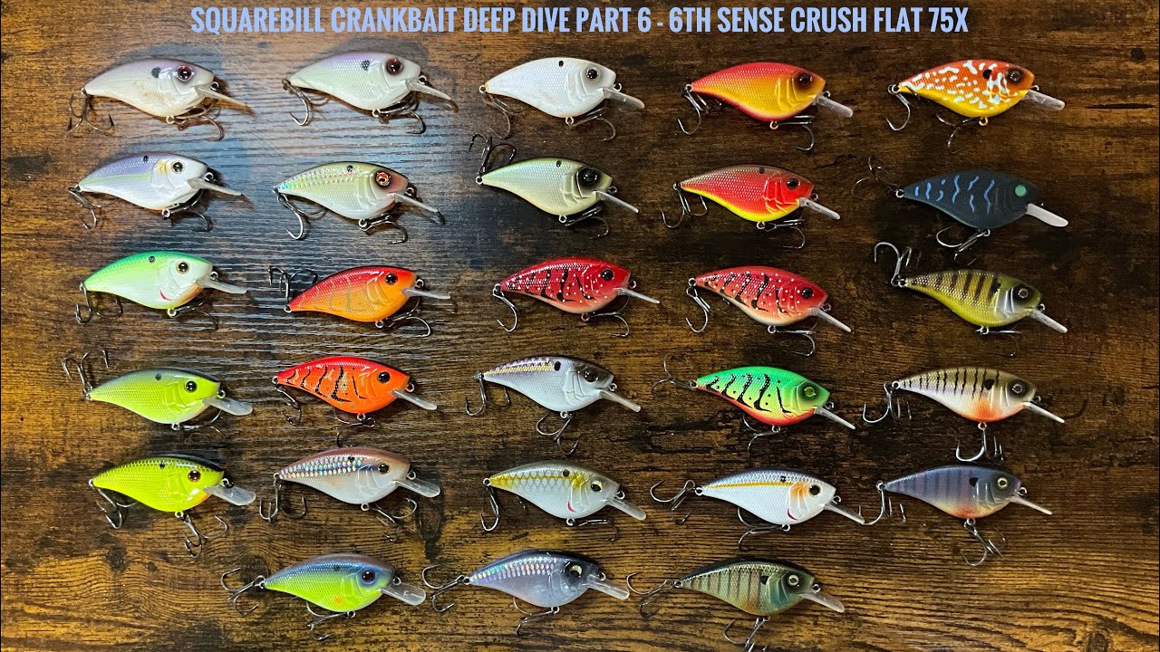 キャッチングコンセプト　DC.5 Jerkbaits Archives - Waypoint Angler Supply