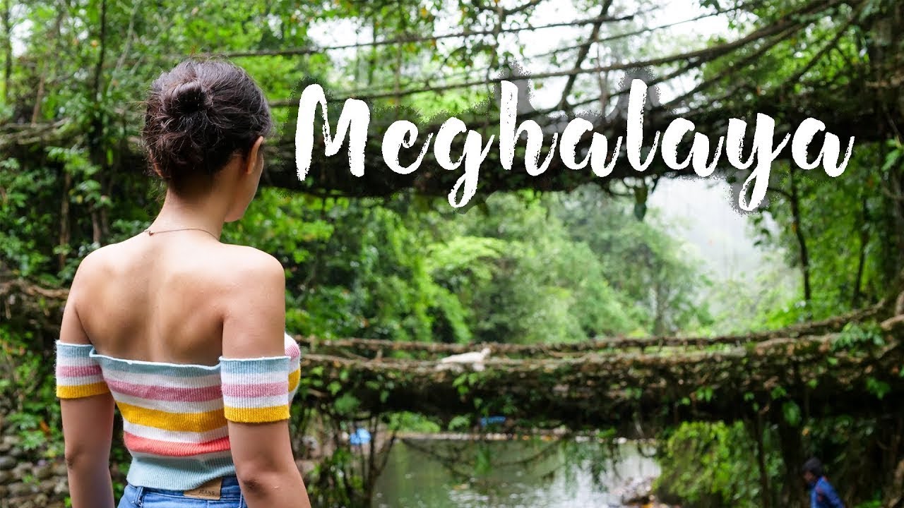 Meghalaya Tour Complete Travel Guide | North East India Trip, EP-02 | Traveller Pedia Meghalaya Tour Complete Travel Guide | North East India Trip, EP-02 | Traveller Pedia