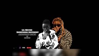 Lil Wayne -Something Different Amapiano Remix ft (Mr Spro)