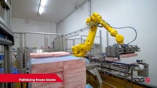 Plate freezing Solutions - DGS