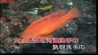 洗手巾(二)~客語~合Eb調~伴奏~導唱3顆~金嗓(甲)